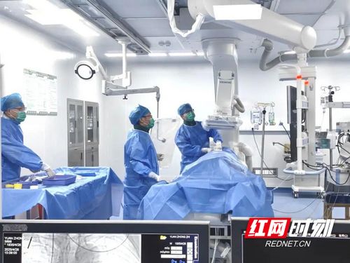 汝城縣人民醫院獲評心血管疾病防治技術牽頭單位，引領區域健康服務新篇章