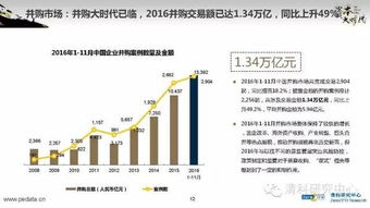 2016年中國股權(quán)投資市場回顧與展望 融資咨詢服務(wù)的機(jī)遇與挑戰(zhàn)